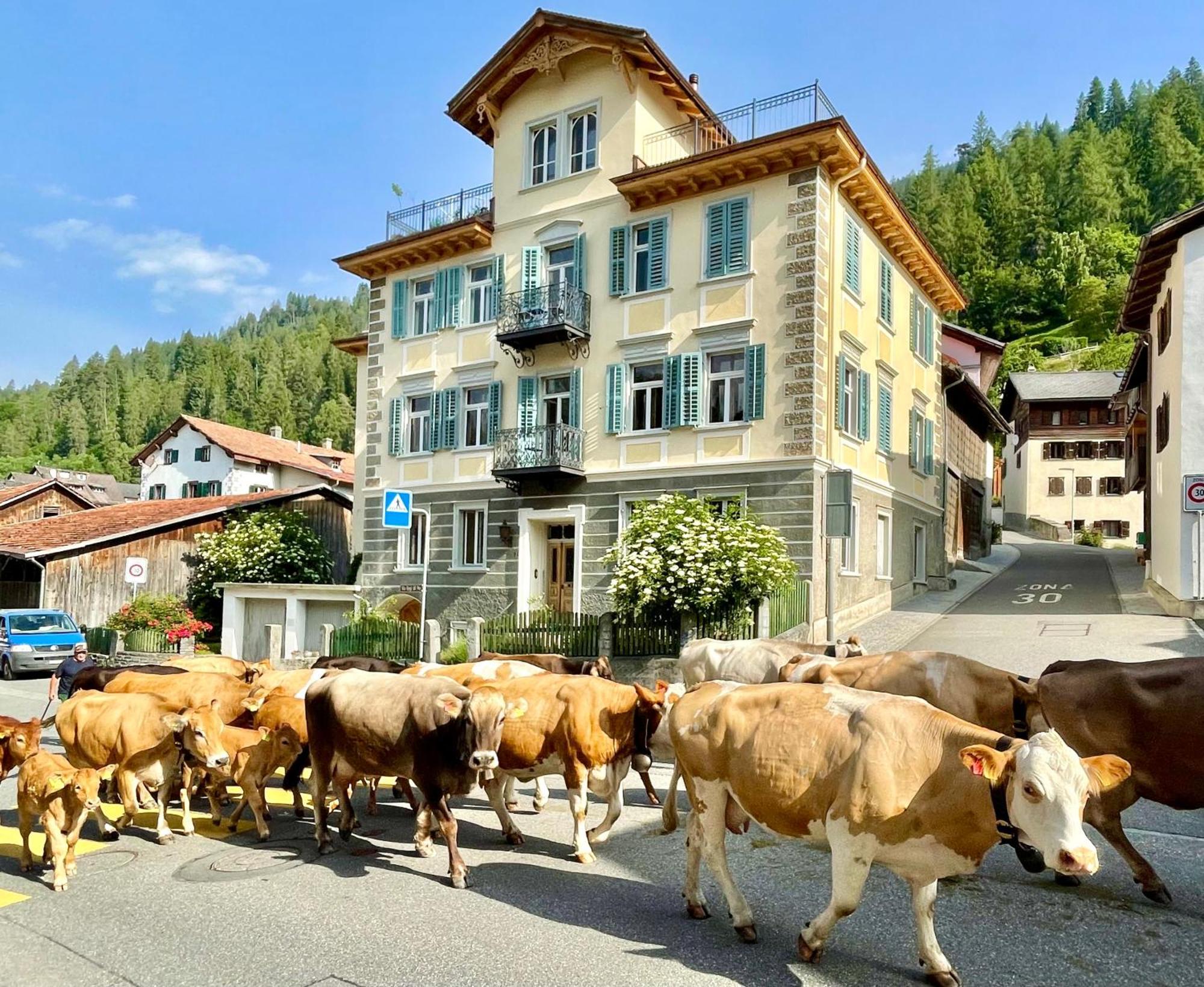 B&B La Scala Trin Екстер'єр фото